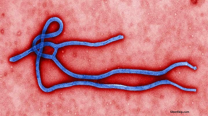 ebola virüsü nedir