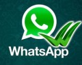 whatsapp mesaj okundu