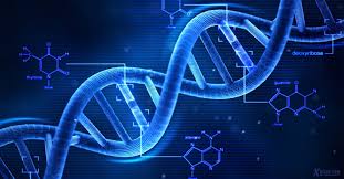 dna nedir