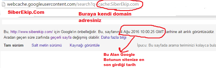 google siteme en son ne zaman geldi